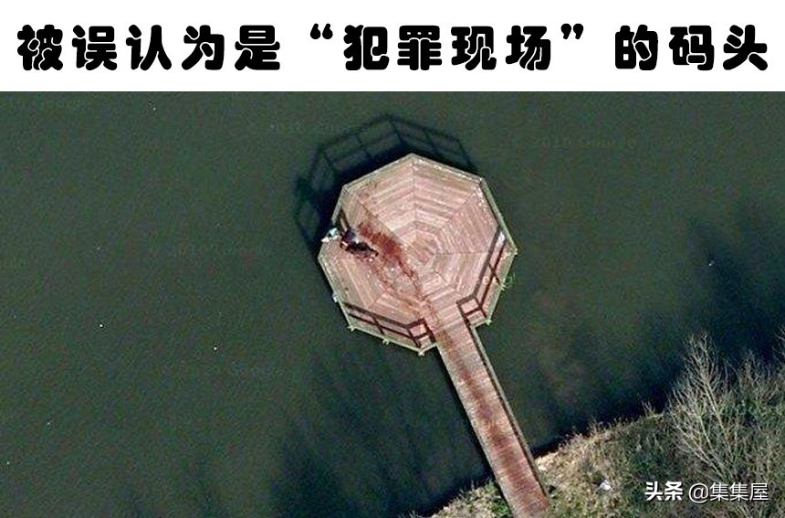 谷歌地图发现了几个诡异的地方,谷歌地图拍到的5个生物