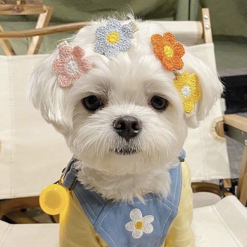 每日一个换头小技巧,换头的正确方法图大全