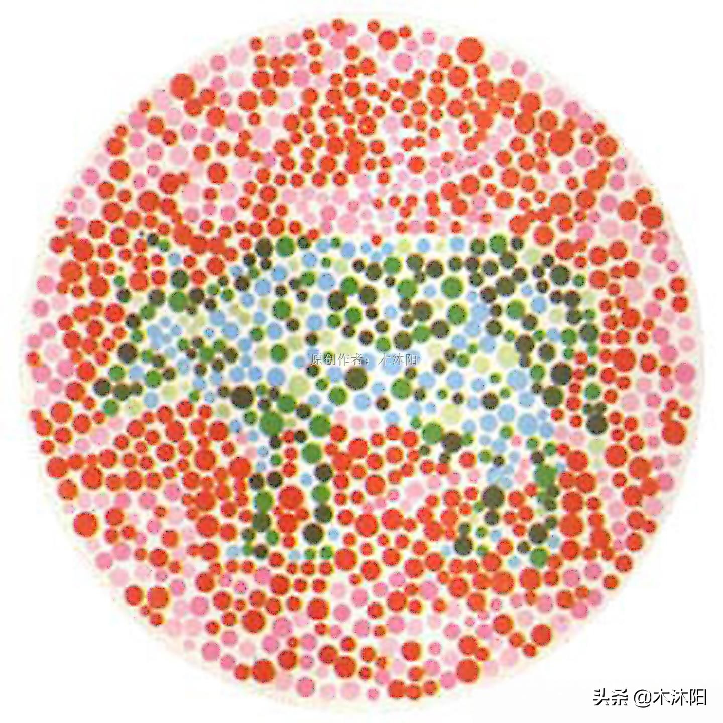 最新版色觉检测图，考驾照必备，这4张图若看错，驾照可能考不了