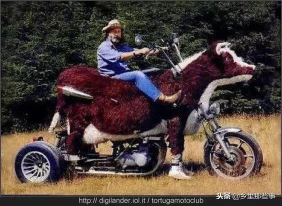 车！车！车！车！车！车！车！车！车！车！车！车！车！车！