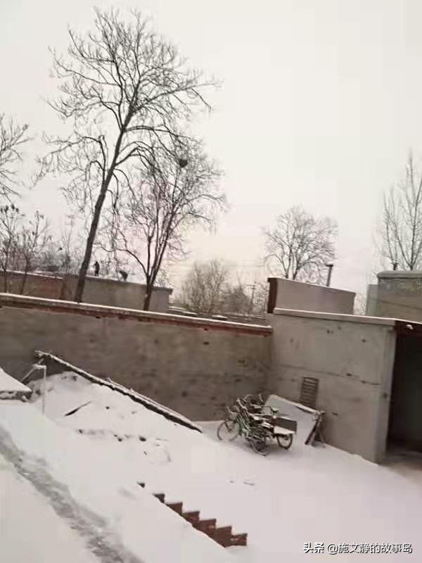 “我们不是小微商”:目标是一个月一千万的流水,你敢入局吗?