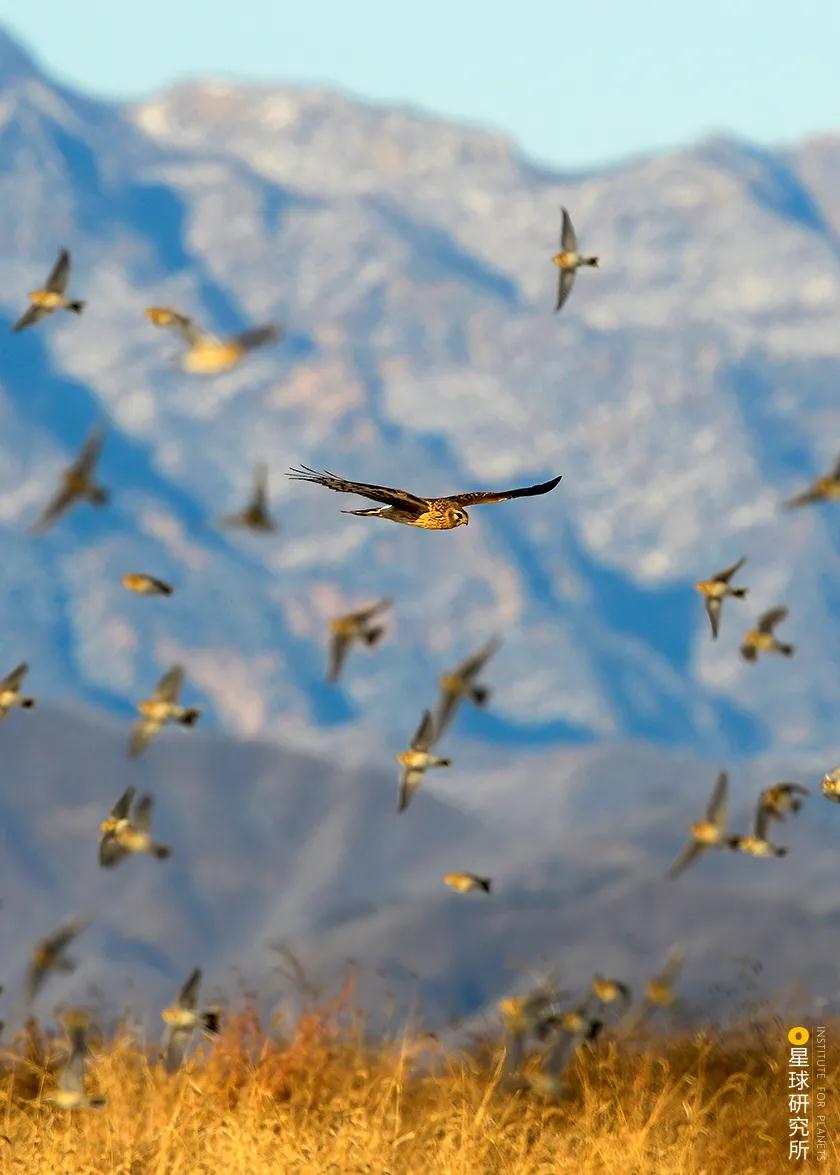 林草领域知识图谱,林草科普专业术语