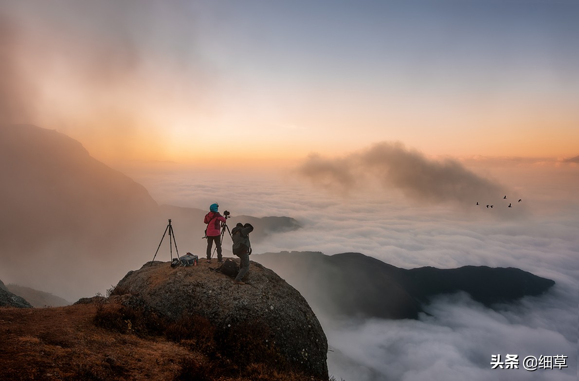 24—70镜头拍摄什么好,24-70镜头什么光圈最清晰