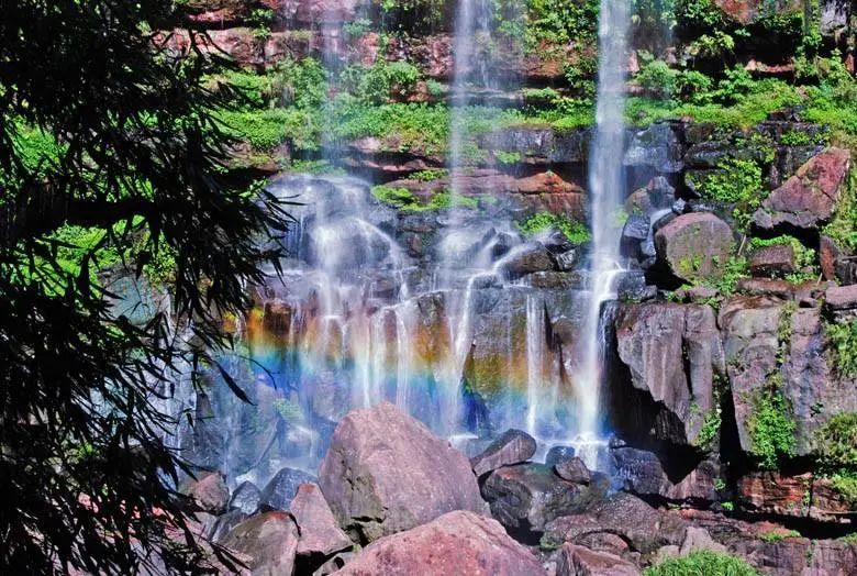 四川宜宾市长宁县竹海新闻,天府竹海景点