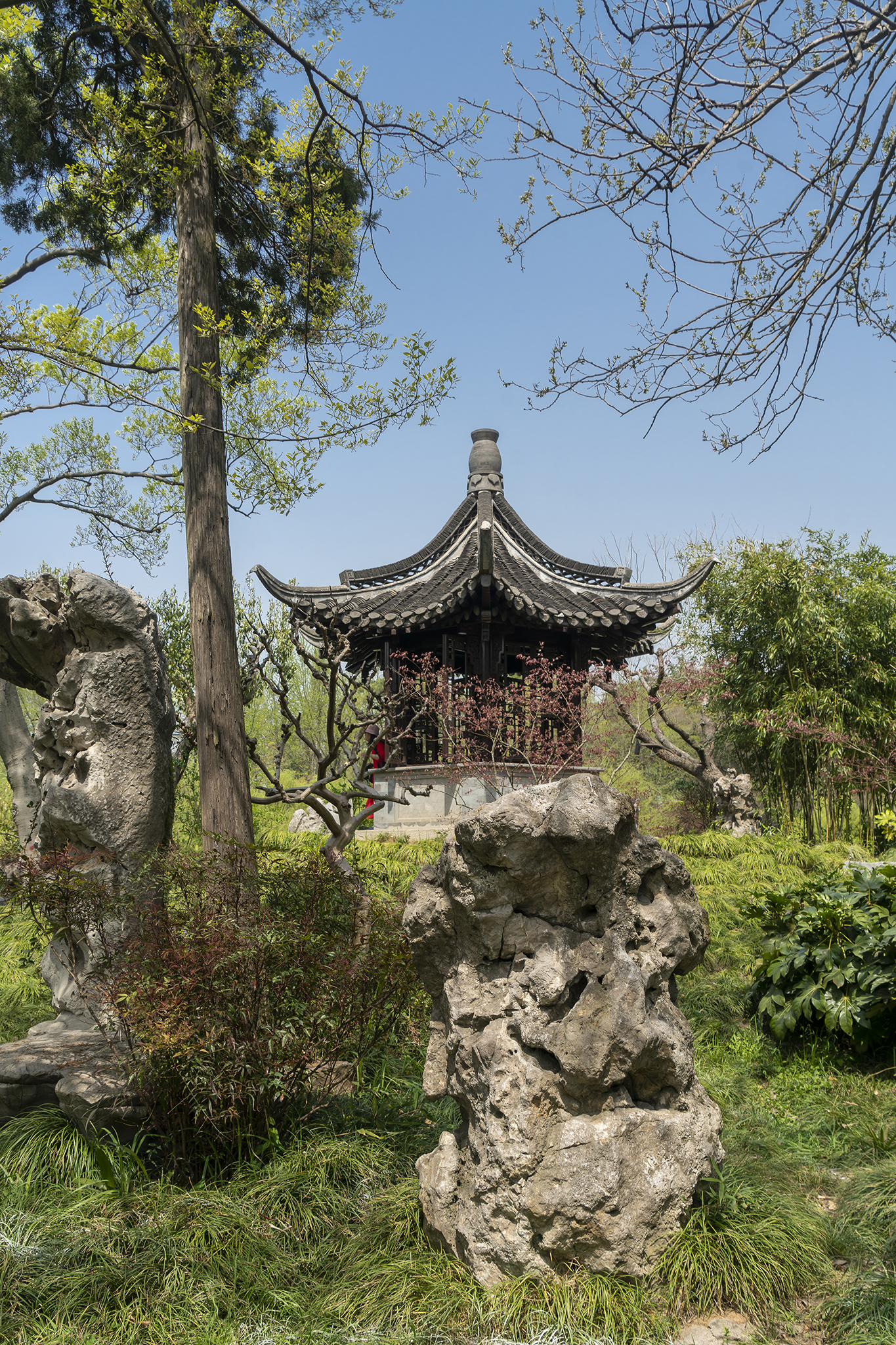 春风十里扬州路烟花三月瘦西湖,扬州三月瘦西湖