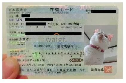 日本绿卡申请条件,申请日本绿卡需要每年住多少天