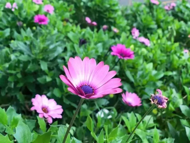 又到一年预审时，四大人最喜欢出差的城市是……