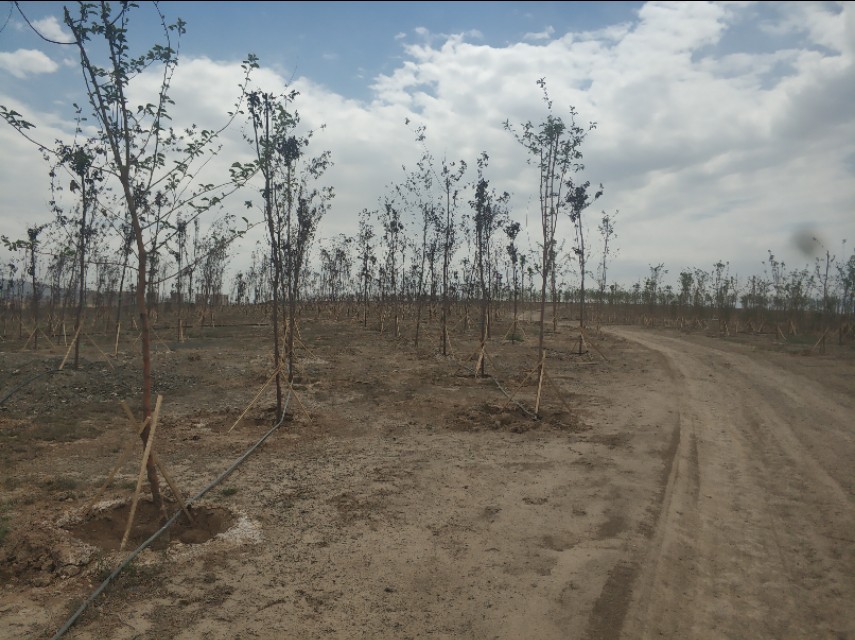 乌鲁木齐新建楼房,乌鲁木齐规划新建350米高楼