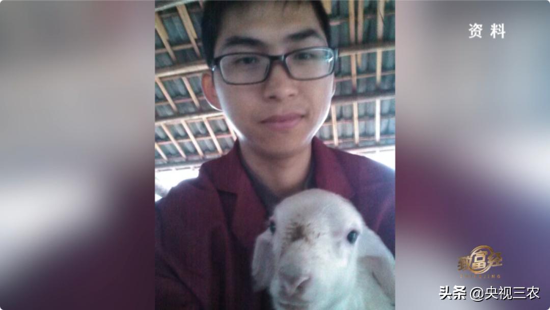 80后小伙返乡创业带着乡亲发羊财,95后小伙半年存款27万