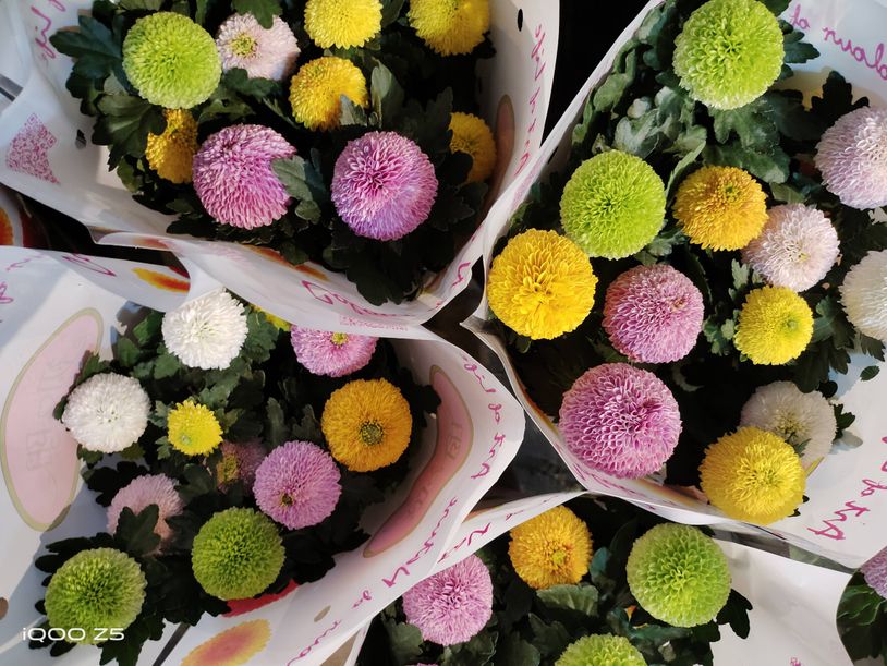 新机首发iqooz5详细体验,iqooz5除了游戏其它性能怎么样