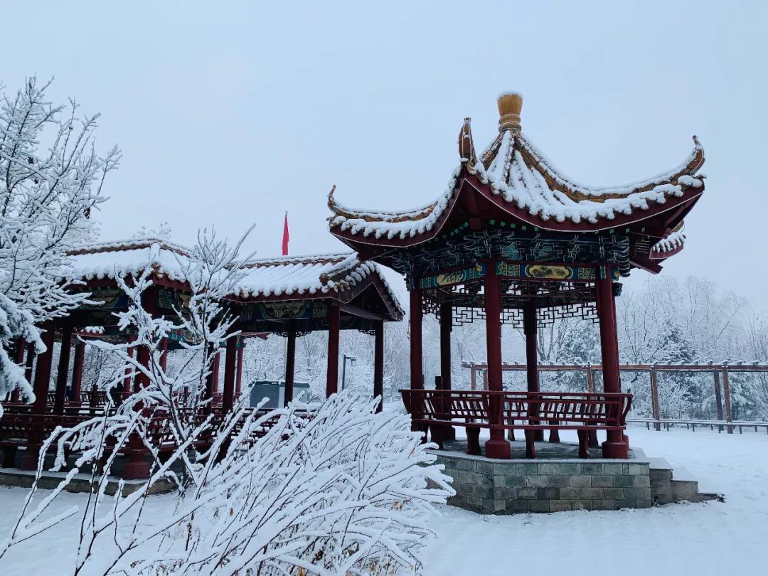 玉田雪化了吗,雪后有什么变化