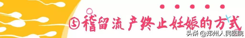 这个小镜子，照看着世上最贵的“房子”