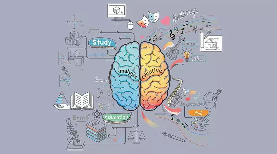 dha到底有多重要该怎么补,为什么儿科医生不建议吃dha
