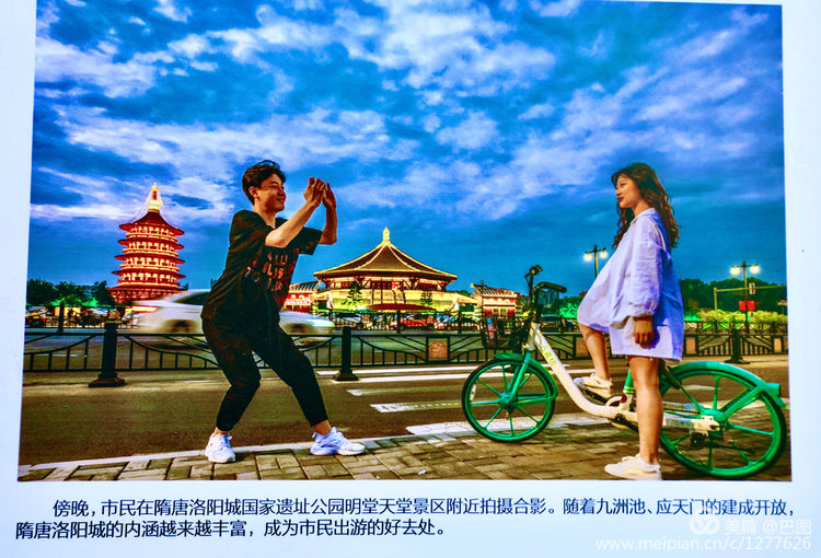 看洛阳牡丹花卉节,洛阳古都牡丹花展