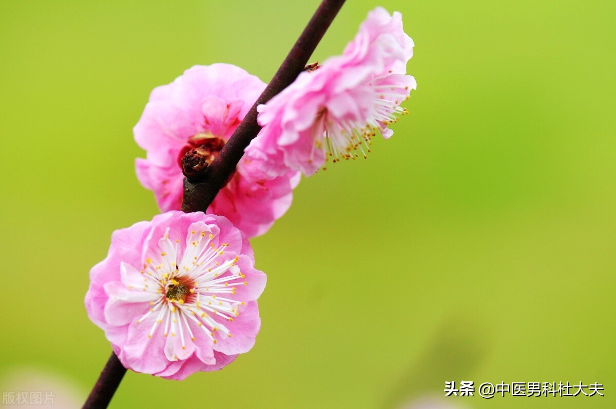 脾肾阳虚湿热下注可以运动吗,补肾反而导致湿热下注