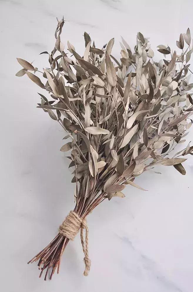 8种能做干花的鲜花，男朋友送的花就这么做