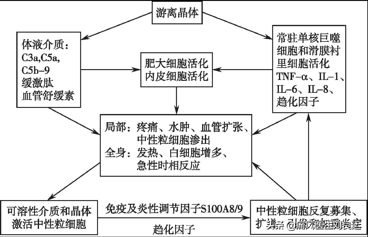 痛风能否真正根治,痛风病可以彻底治疗好吗