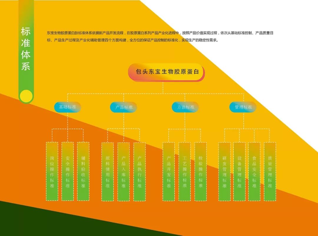 用标准立规矩用创新闯市场—包头市创建“标准国际化创新型城市”标准品牌故事之三东宝生物骨胶原蛋白肽粉