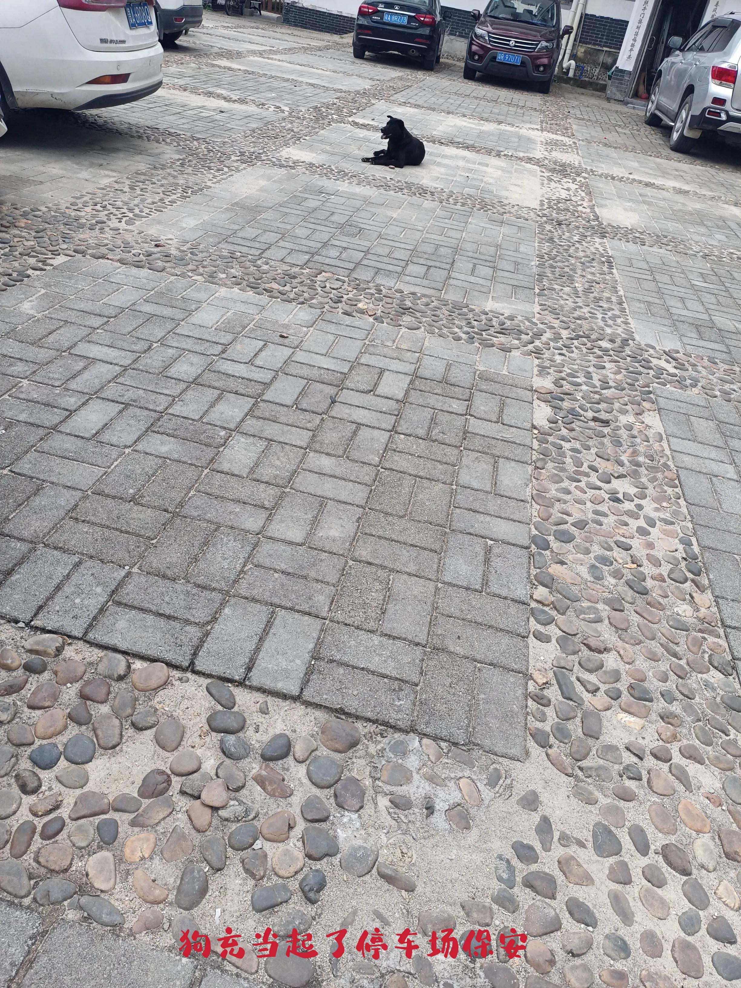 乘公交去乡下:广州海拔最高的村落-阿婆六村