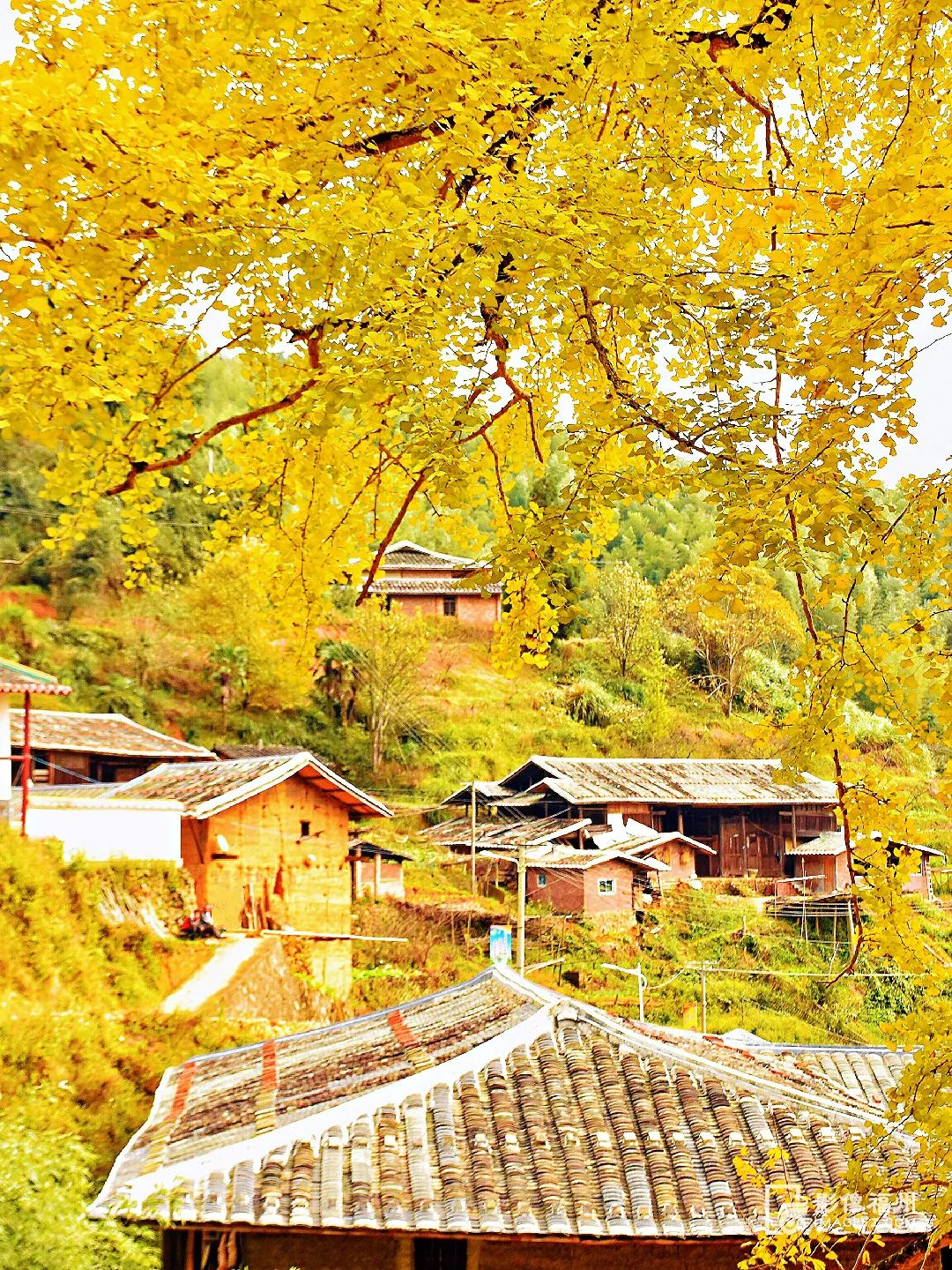 白云区永泰,什么是永泰葱饼