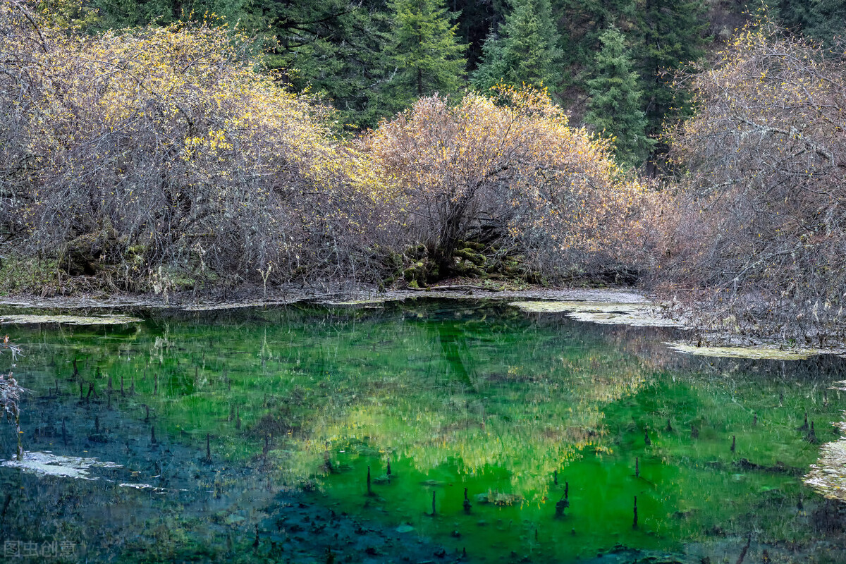 川西看彩林,川西自驾游看彩林攻略