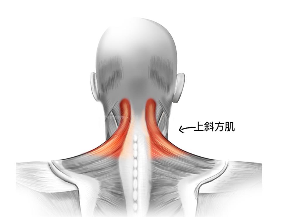 颈部按摩仪的正确使用方法,颈部按摩仪哪种最好用