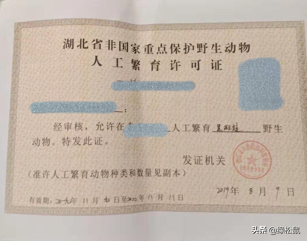 蛙类养殖新政策,两栖蛙养殖前景