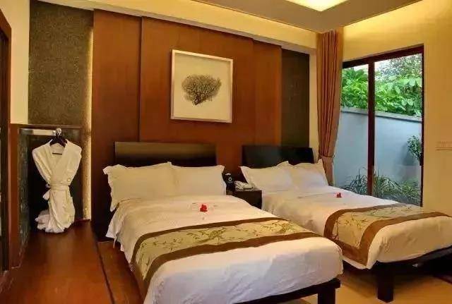 来喽·惠州候鸟印度洋风情别墅~网红泳池+休闲单车、农家特色菜