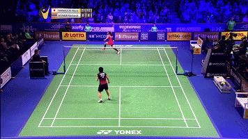 金秋诗画（学羽精华33.发力技巧）