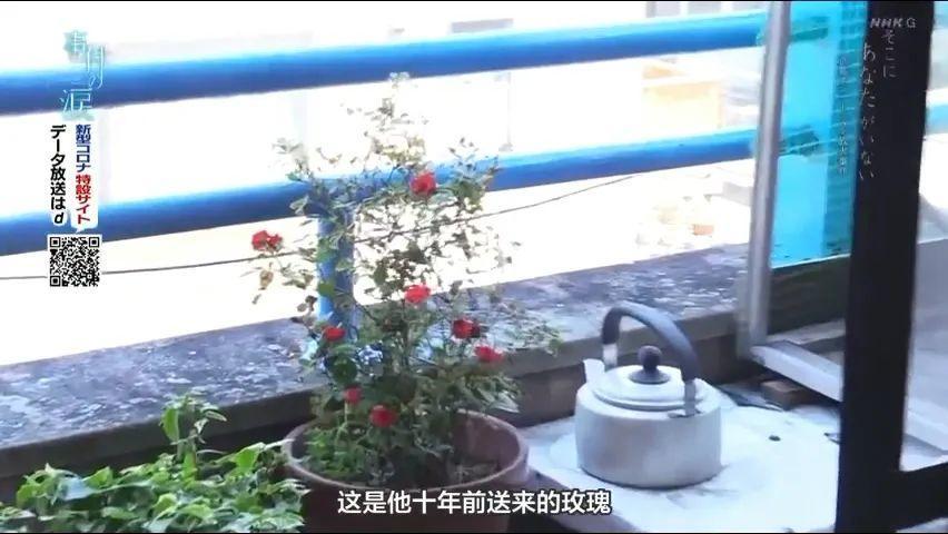 今天刷爆外网的新片，我拒绝打分