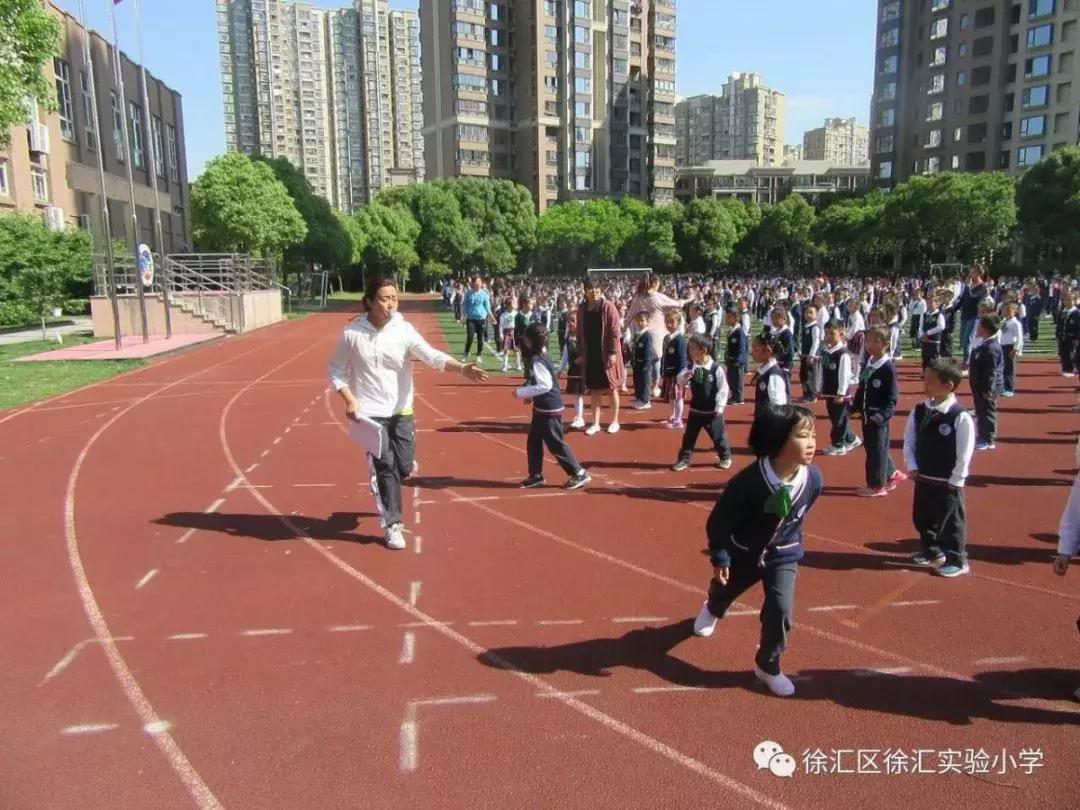 最新公布！徐汇8所学校成市级试点校，有你熟悉的学校吗？