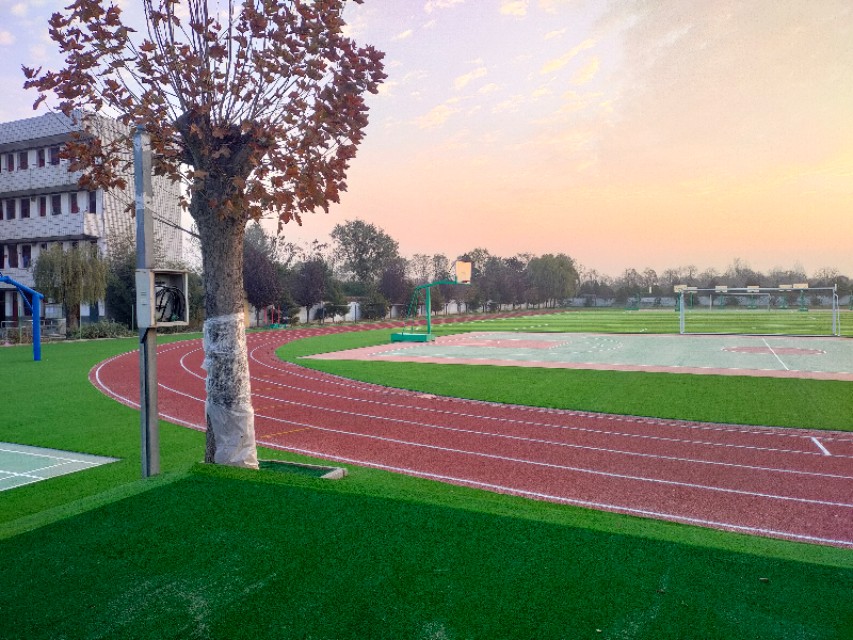 长杨中学官网,长杨中学