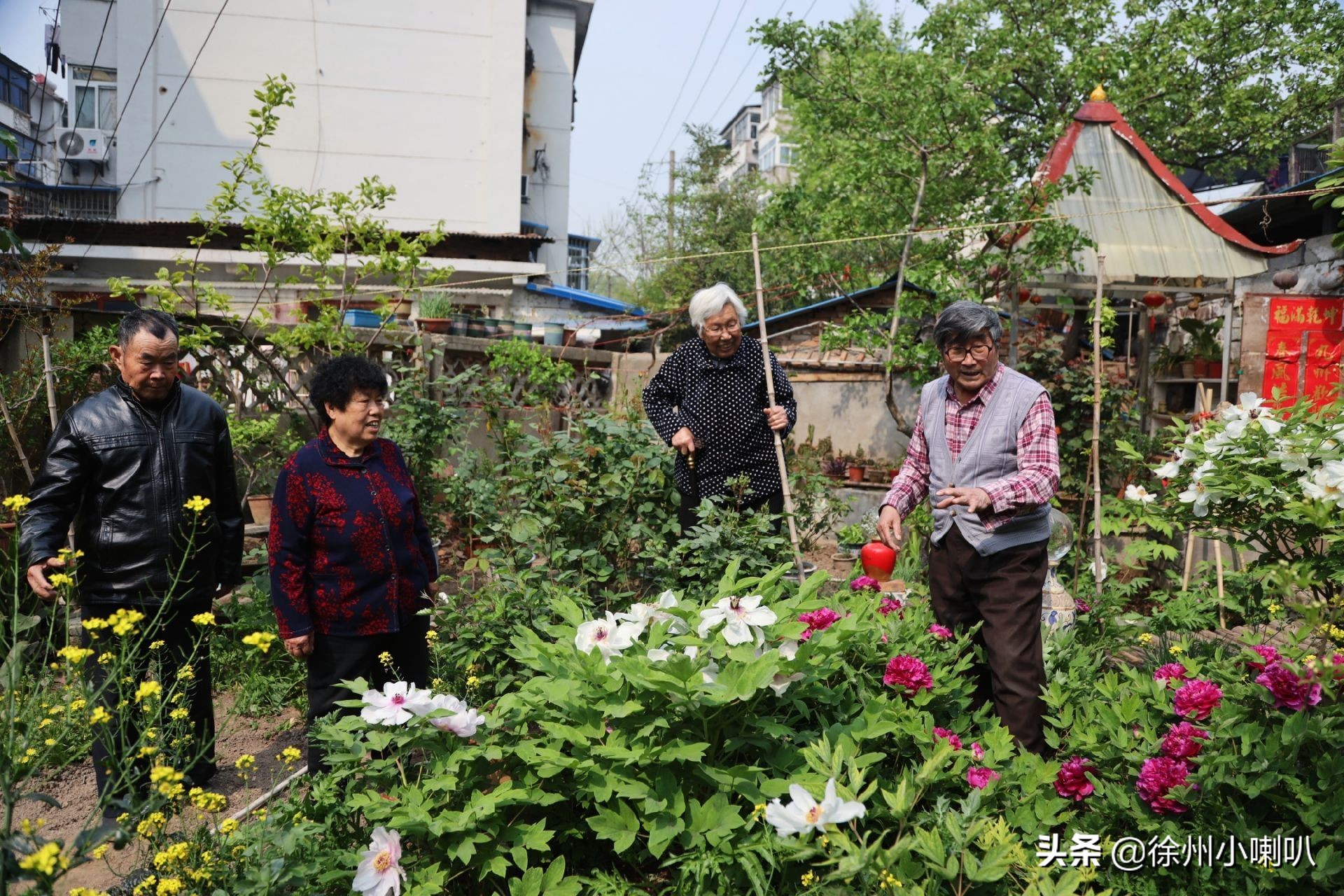 一起养花一起开心一起变老,一起养花种草分享美好