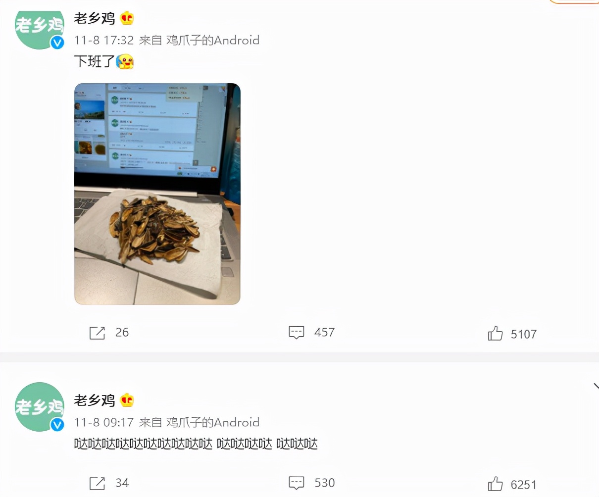 「大问局之老乡鸡」每天工作咯咯哒,土味老乡鸡真的土味吗?