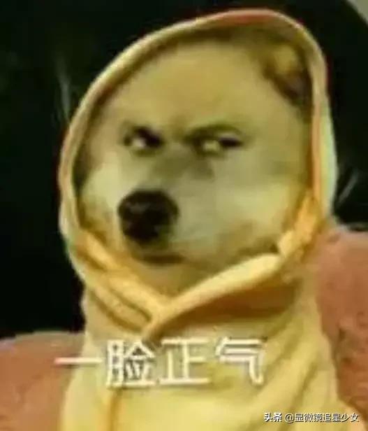 舒淇冯德伦撒糖样子,舒淇冯德伦