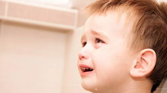 大吼大叫对孩子造成孩子胆小视频,对孩子大吼大叫有什么补救办法