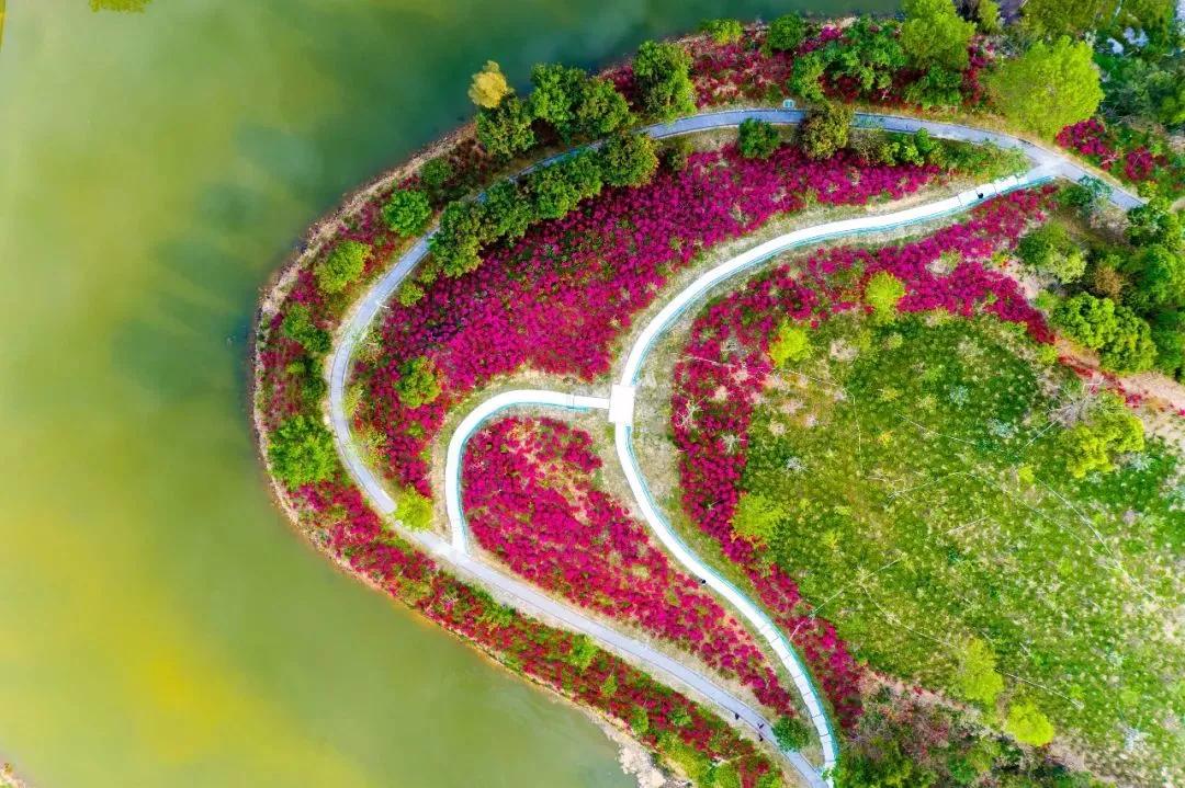 你好,我叫龙岗!欢迎你回来