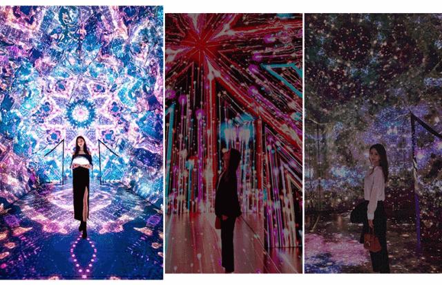 香港巨型圣诞树,香港圣诞树旅游攻略