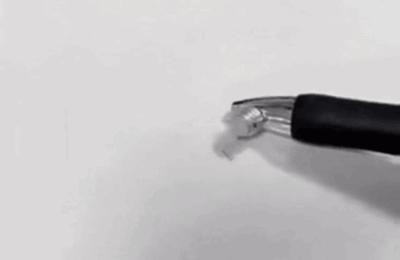 干掉蚊子的100种方法,消灭蚊子的100种方法第24种