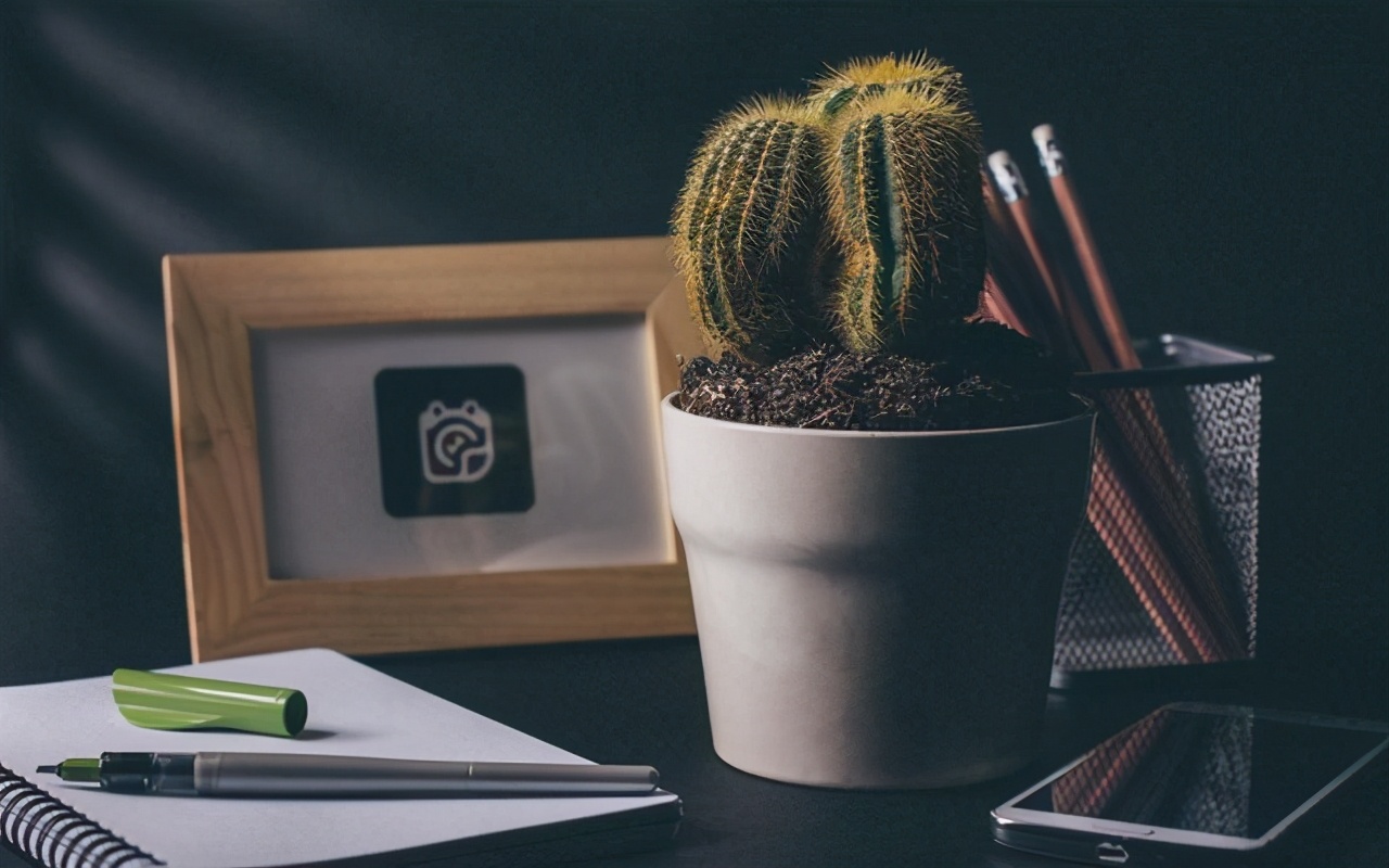 聪明智慧有格局的星座,智慧出众这3个星座最不缺聪明人