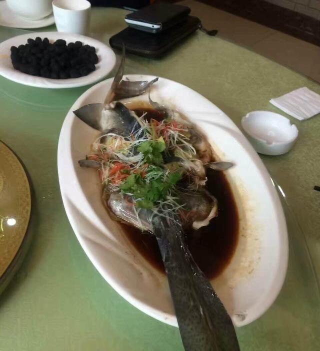 鸭嘴鱼在中国到底有没有,鸭嘴鱼入侵物种