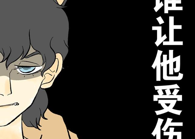 一只可爱流浪猫会怎么样,一只流浪猫把一只宠物猫给拐走了