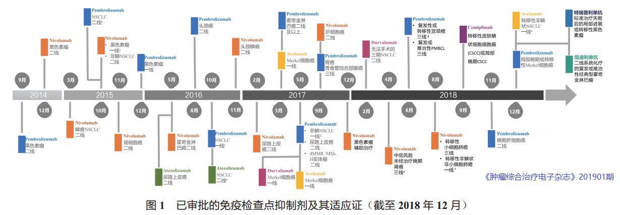 2018年中国肿瘤统计,基因检测肿瘤18项密切关注