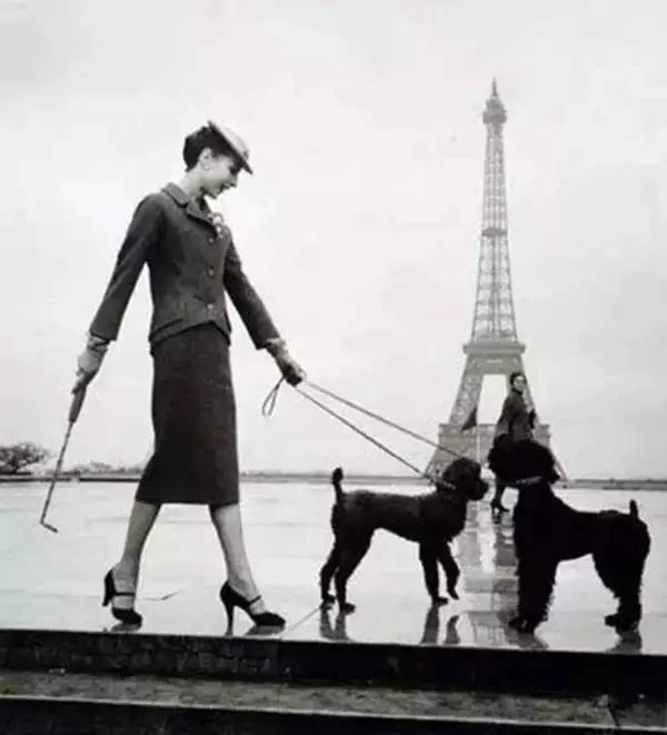 刘雯玛丽珍鞋,文淇和刘雯穿的鞋