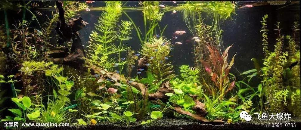 臭氧除菌,你用过吗?