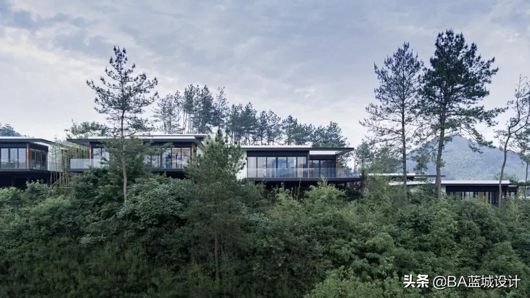 宋卫平迷你小合院,宋卫平时期的绿城