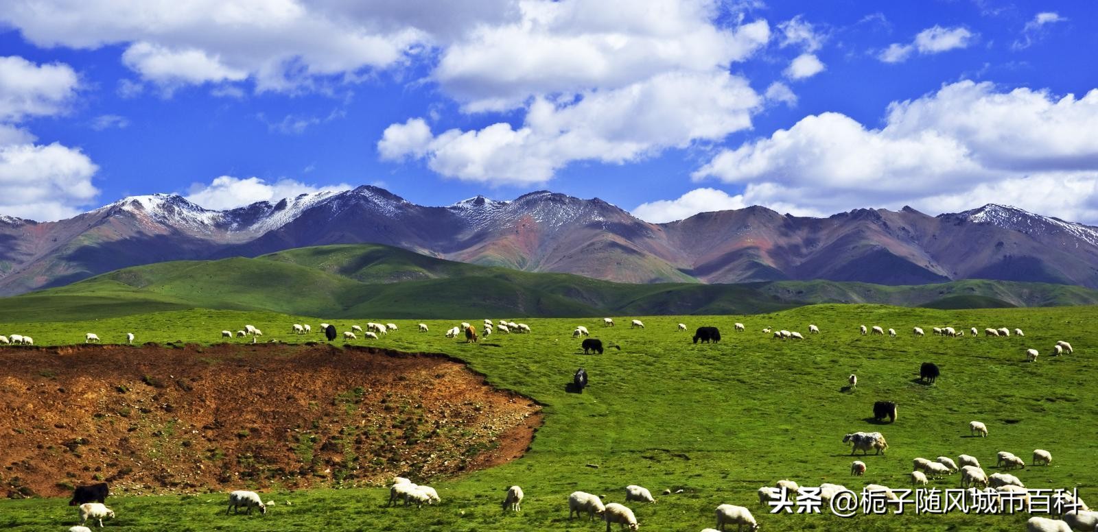 青海海北州各县地图,青海省海北属于几类地区