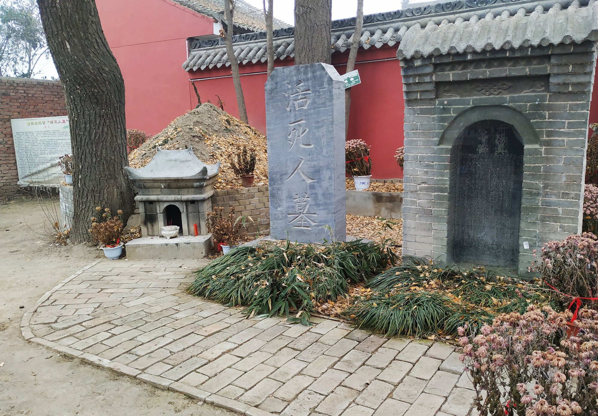 终南山活死人墓道长,悬壶济世30年,女弟子患癌症拜师后生命延续