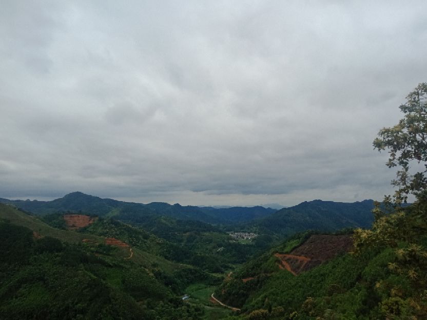 中国人民武装警察部队森林消防,武装森林警察部队