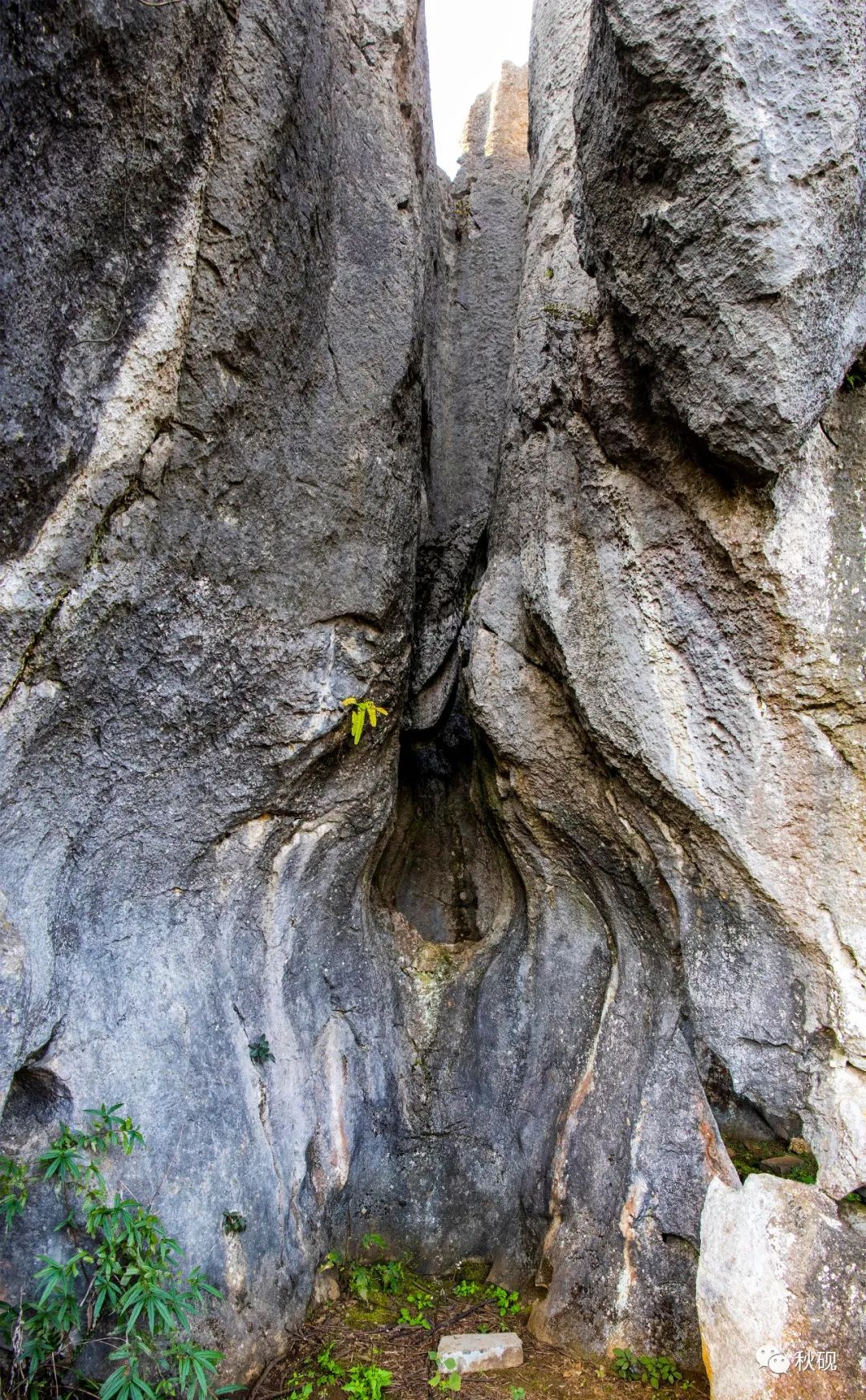 周游西南随记（六）弥蒙的万峰林